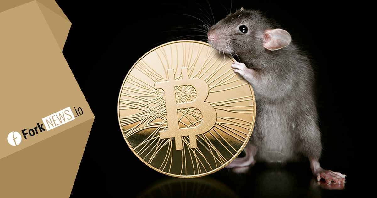 Фред Уилсон объяснил, почему Уоррен Баффет не принимает биткоин Фред Уилсон объяснил, почему Уоррен Баффет не принимает биткоин