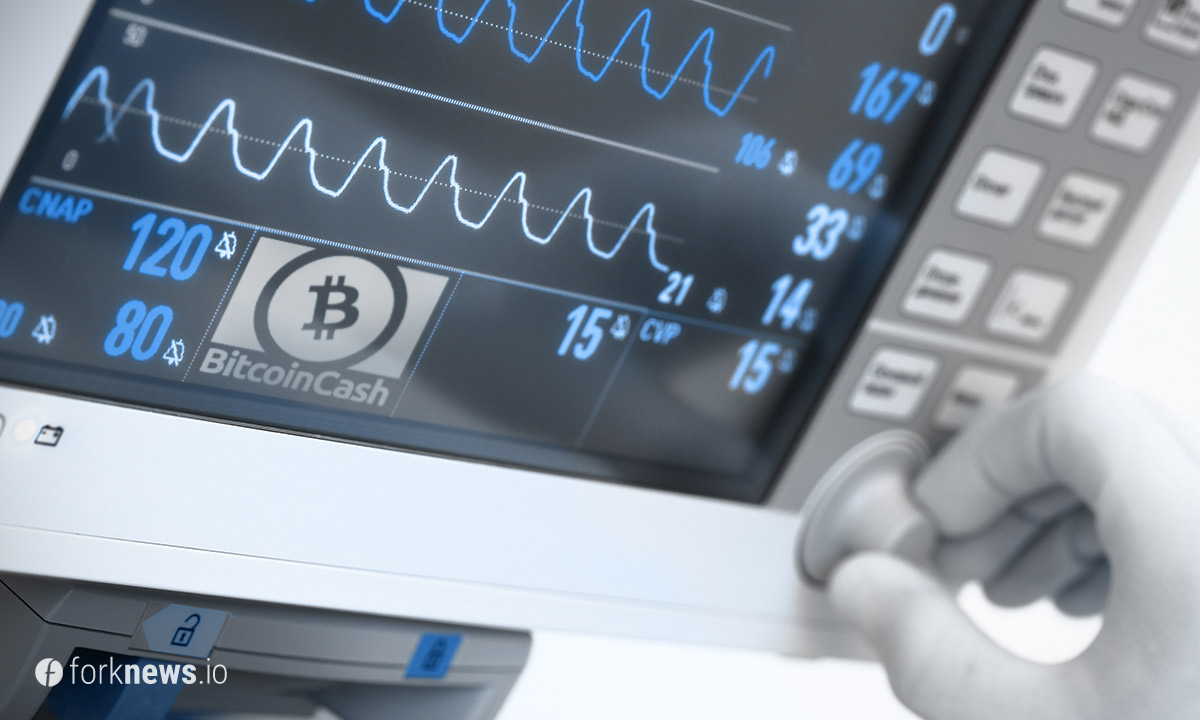 Проведен стресс-тест Bitcoin Cash Проведен стресс-тест Bitcoin Cash