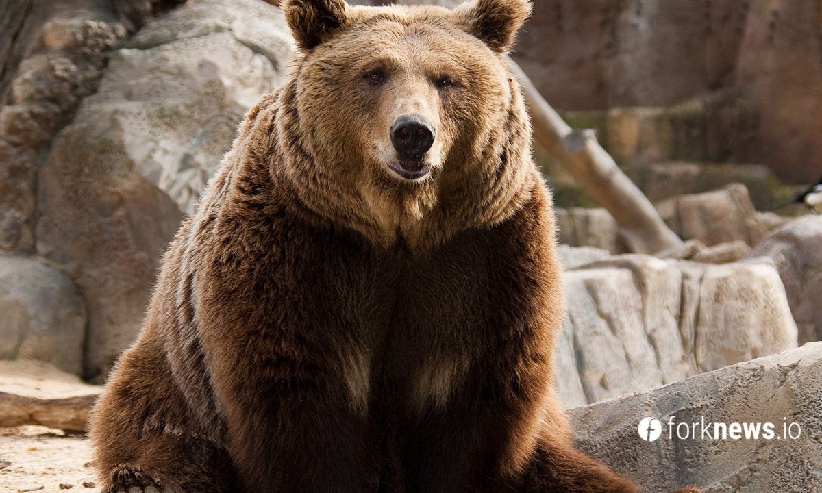 Мнение: Следующий бычий забег ВТС не стоит ждать до конца 2024 года Мнение: Следующий бычий забег ВТС не стоит ждать до конца 2024 года